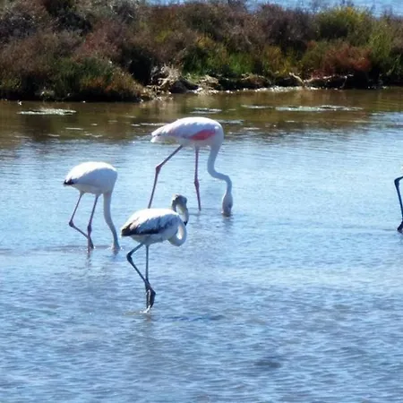 Private In Delta Del Ebro